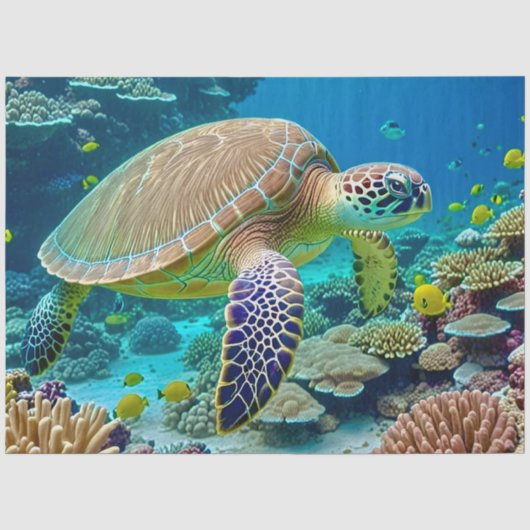 サンゴ礁に浮かぶ緑のウミガメ 薄葉紙 (正面)