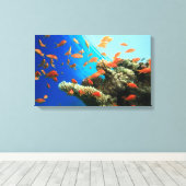 サンゴ礁に生息するリリテールアンチアス キャンバスプリント (インサイチュ (ウッドフロア))