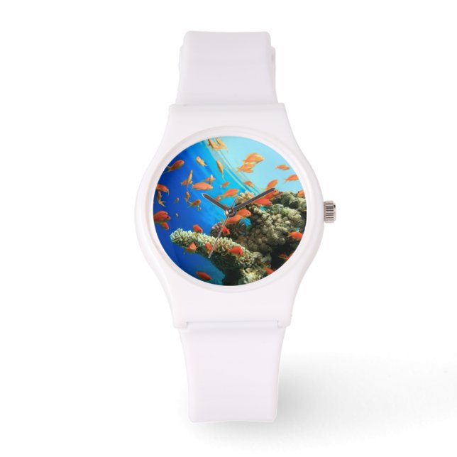 サンゴ礁に生息するリリテールアンチアス 腕時計 (正面)