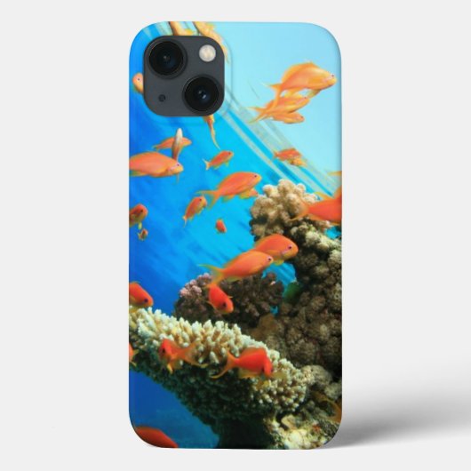 サンゴ礁に生息するリリテールアンチアス Case-Mate iPhoneケース (裏面)