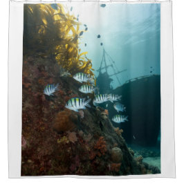 サンゴ礁に隠れた沈没船と魚の群れ シャワーカーテン