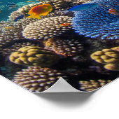 サンゴ礁に鮮やかシュノーケリング ポスター (角)