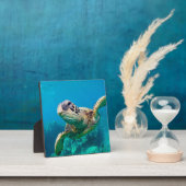 サンゴ礁の上を泳ぐグリーンウミガメ |ハワイ フォトプラーク (インサイチュ)