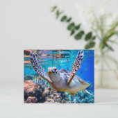 サンゴ礁の上を泳ぐグリーンウミガメ |ハワイ ポストカード (スタンド正面)