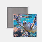 サンゴ礁の上を泳ぐグリーンウミガメ |ハワイ マグネット (正面/裏面)