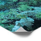 サンゴ礁の上を泳ぐ熱帯魚 ポスター (角)