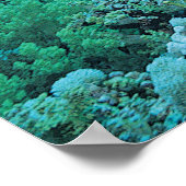 サンゴ礁の上を泳ぐ熱帯魚 ポスター (角)