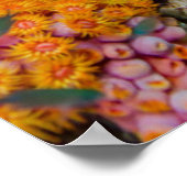 サンゴ礁の中の魚 ポスター (角)