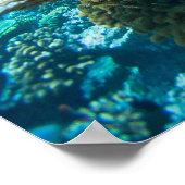 サンゴ礁の海中 ポスター (角)