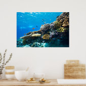 サンゴ礁の海中 ポスター (キッチン)