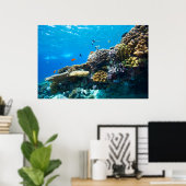 サンゴ礁の海中 ポスター (ホームオフィス)