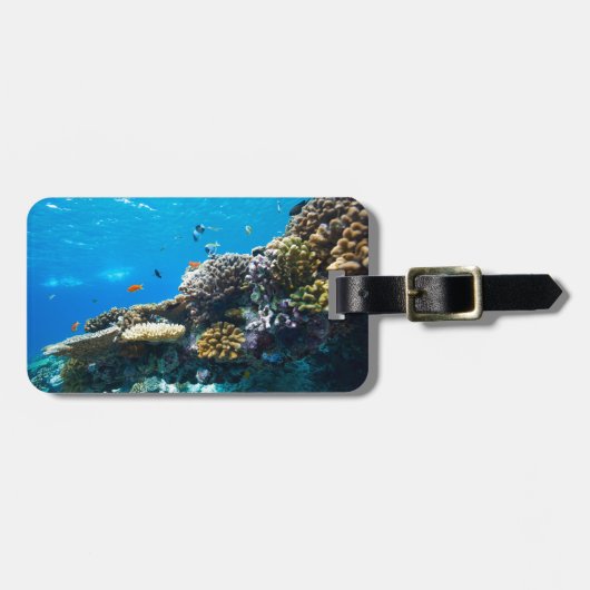 サンゴ礁の海中 ラゲッジタグ (正面横)