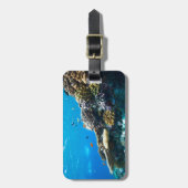 サンゴ礁の海中 ラゲッジタグ (正面縦)