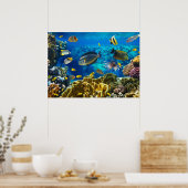 サンゴ礁の熱帯魚の写真 ポスター (キッチン)