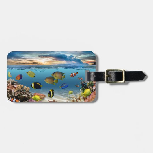 サンゴ礁の熱帯魚 ラゲッジタグ (正面横)
