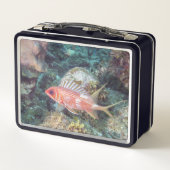 サンゴ礁の背の高いリスの魚銀色 メタルランチボックス (裏面)