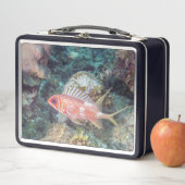 サンゴ礁の背の高いリスの魚銀色 メタルランチボックス (インサイチュ)