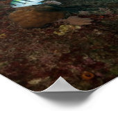 サンゴ礁の背後に隠された難破船 ポスター (角)