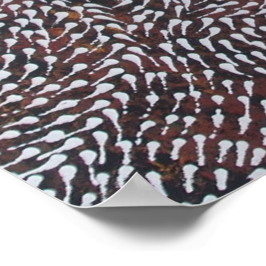 サンゴ礁の薬剤 ポスター (角)