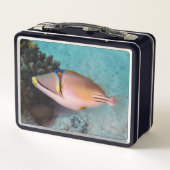 サンゴ礁の近くで海事産ピカソ・トリガーフィッシュが泳ぐ メタルランチボックス (裏面)