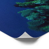 サンゴ礁の風光明媚な懸命サンゴ、ソフトサンゴ ポスター (角)