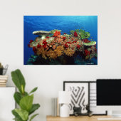サンゴ礁の風光明媚な懸命サンゴ、ソフトサンゴ ポスター (ホームオフィス)