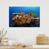 サンゴ礁の風光明媚な懸命サンゴ、ソフトサンゴ ポスター (キッチン)