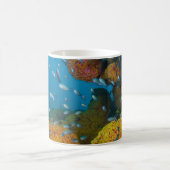 サンゴ礁の魚 コーヒーマグカップ (中央)