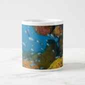 サンゴ礁の魚 ジャンボコーヒーマグカップ (正面)