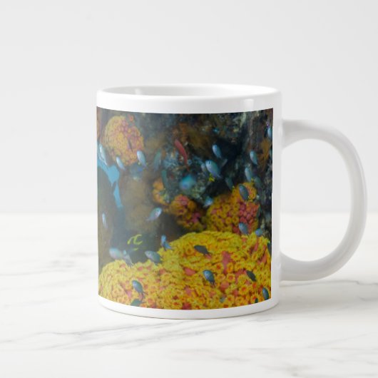 サンゴ礁の魚 ジャンボコーヒーマグカップ (右)
