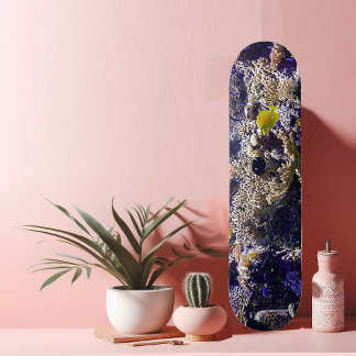 サンゴ礁の魚 スケートボード