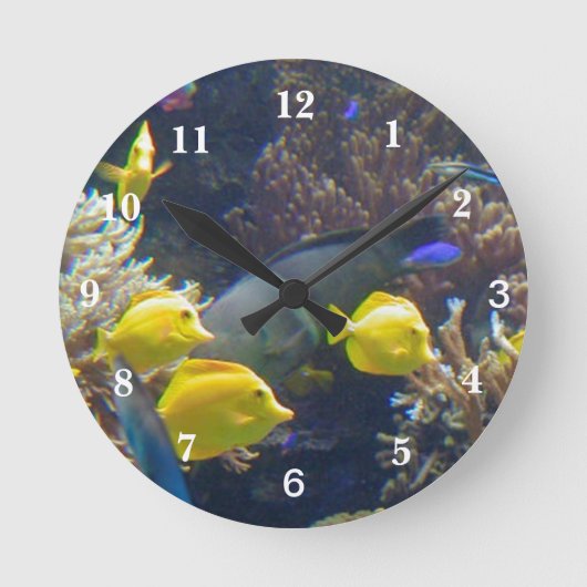 サンゴ礁の魚 ラウンド壁時計 (正面)