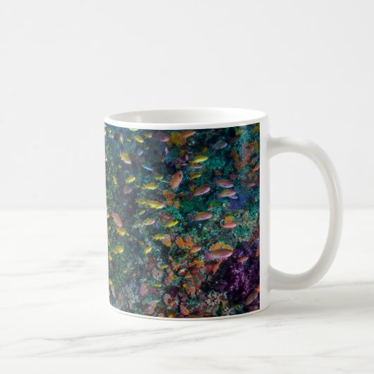 サンゴ礁を泳ぐ魚の群れ コーヒーマグカップ (右)