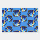 サンゴ礁エンジェル魚の青いオレンジ色 ラッピングペーパーシート (正面)