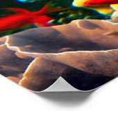 サンゴ礁カラフル、 ポスター (角)