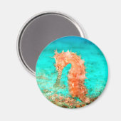 サンゴ礁シーホース熱帯海 マグネット (正面/裏面)