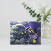 サンゴ礁フォトポストカード ポストカード (スタンド正面)