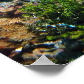 サンゴ礁ポスター ポスター (角)