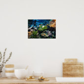 サンゴ礁ポスター ポスター (キッチン)