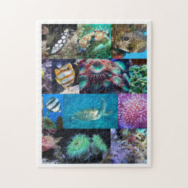 サンゴ礁マリンフィッシュ動物、8歳、252個 ジグソーパズル