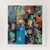 サンゴ礁海洋生物群集10歳676歳 ジグソーパズル (横)