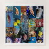 サンゴ礁海魚類動物11歳、676点 ジグソーパズル (横)