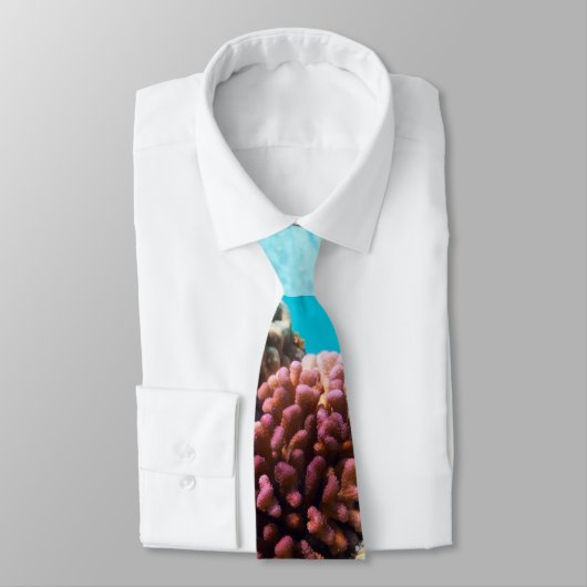 サンゴ礁 ネクタイ (タイ)