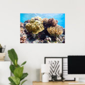 サンゴ礁 ポスター (ホームオフィス)