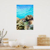 サンゴ礁 ポスター (キッチン)