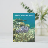 サンゴ素晴らし礁 ポストカード (スタンド正面)