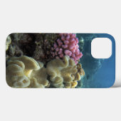 サンゴ、アジャンカートリーフ、グレートバリアリーフ、 Case-Mate iPhoneケース (裏面 (横))
