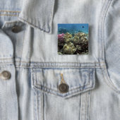 サンゴ、アジャンカート礁、グレートバリアリーフ、 缶バッジ (インサイチュ)