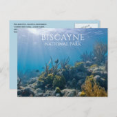 サンゴ、植物、魚、ビスケイン国立公園(FL) ポストカード (正面/裏面)