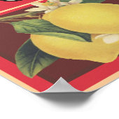 サンサイド ポスター (角)